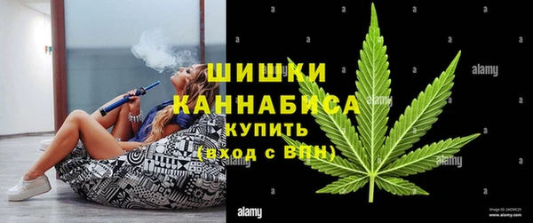 дживик Елабуга