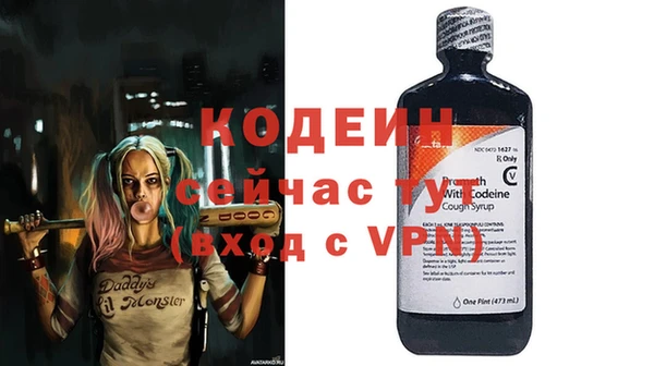 дживик Елабуга