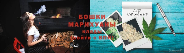 дживик Елабуга