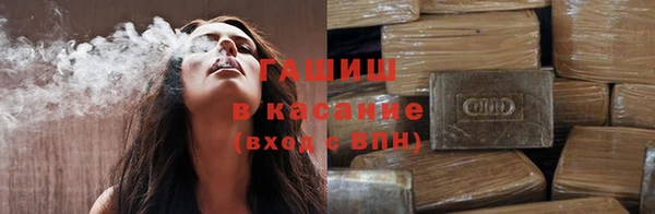 спайс Ельня