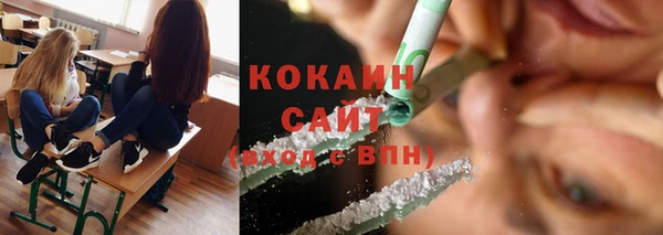 дживик Елабуга