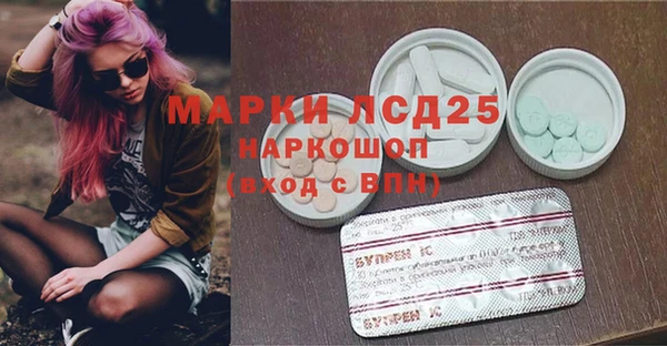 дживик Елабуга