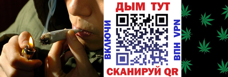 Шишки марихуана планчик  Купить закладки  Новотроицк 